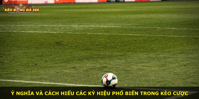 Ý nghĩa và cách hiểu các ký hiệu phổ biến trong kèo cược