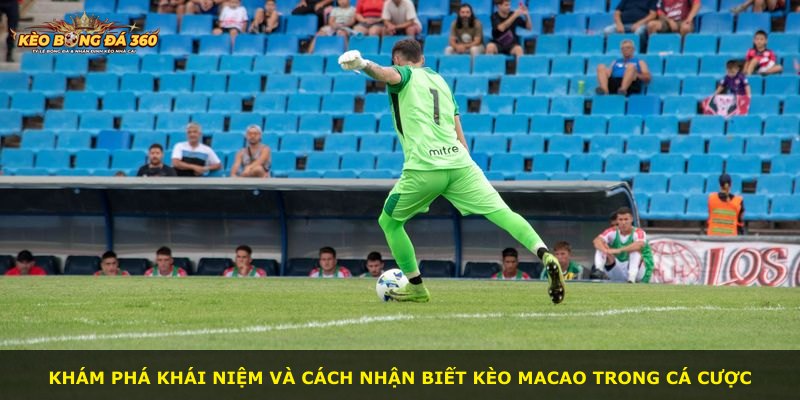 Khám phá khái niệm và cách nhận biết kèo Macao trong cá cược